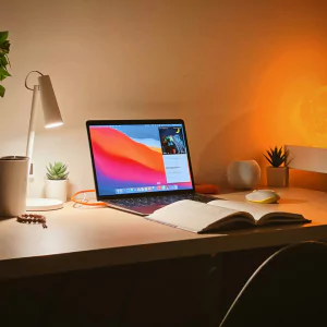 low price fully furnished office space in Guindy